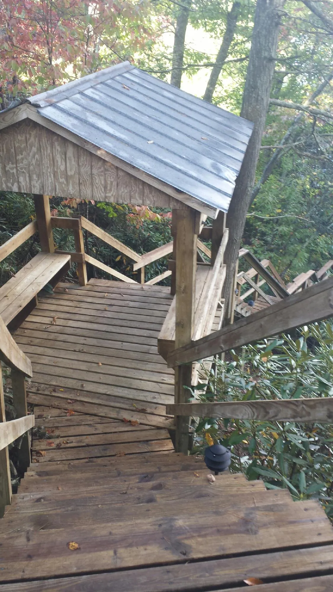 Metal roofed shelter over wooden steps on a wooded walkway in Oliver Springs